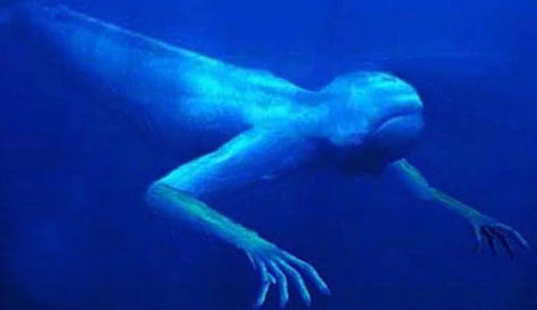 Szörnyű lények élnek Birmingham vízcsatornáin