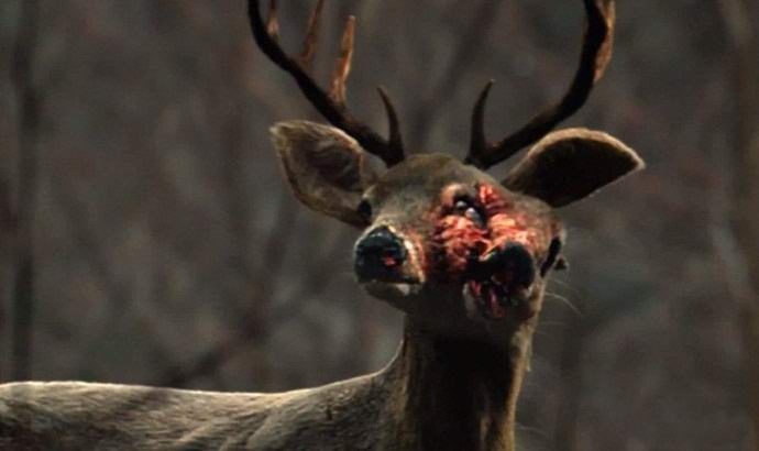 Hátborzongató mutáns szarvas került a videóba