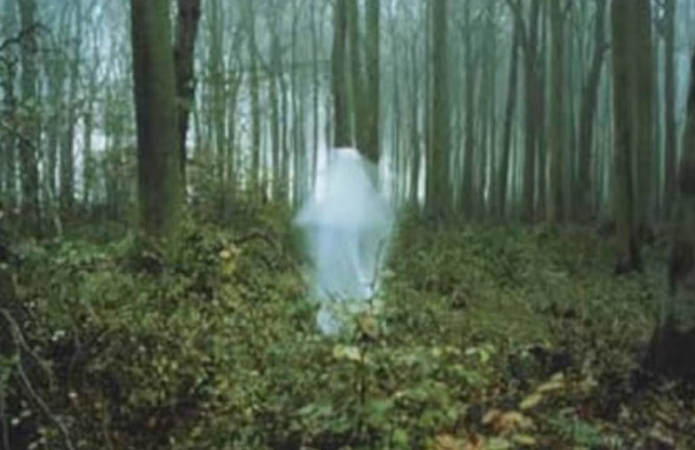 Az almaültetvény gonosz lényei majdnem megölték a lányt