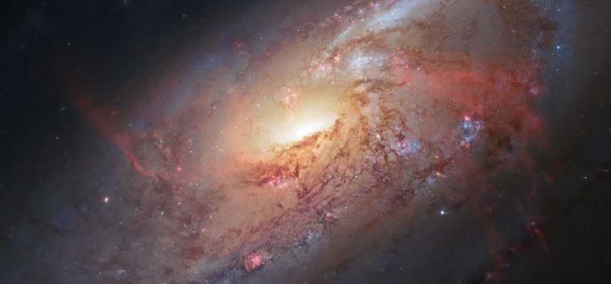 Az idegen élet keresésének híres egyenlete új módszert határoz meg a COVID-19 terjedésének előrejelzésére 