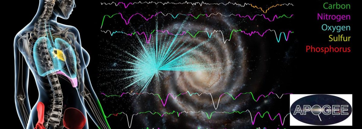 A Tejút csillagai ugyanazokból az elemekből állnak, mint az emberek 